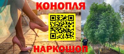 скорость Пушкино